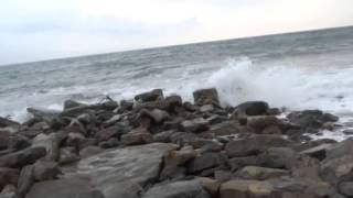Черно-белое море, волны, птицы и люди