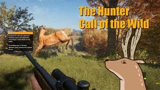 鹿狩りはじめました - theHunter: Call of the Wild #1 ゲーム実況 screenshot 1