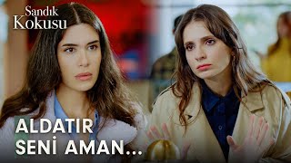 Seven sevdiğine sahip çıksın 😂 | Sandık Kokusu 34. Bölüm