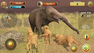 Wild Lion Simulator 3D Android Gameplay #3 screenshot 4