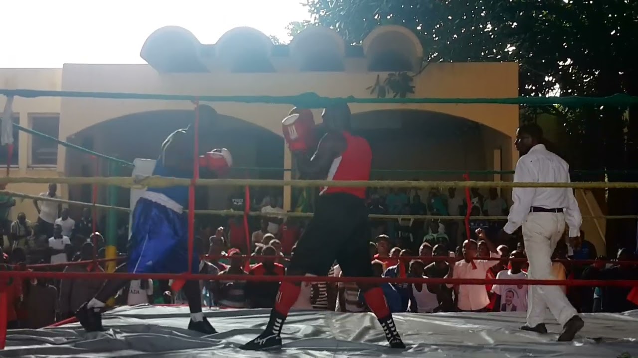 champion D12 et champion laury