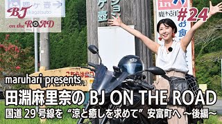 マルサの女 マルサの女2 スーパーの女 タンポポ 大人気4点セット格安 マルサの女 マルサの女2 スーパーの女 タンポポ 大人気4点セット格安