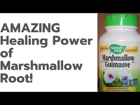 Video: Marshmallow Root: Fördelar, Biverkningar Och Mer