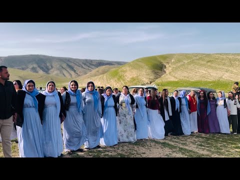 حفلة رأس السنة الايزيدية  15/4/2026 الفنان عبدال علي 
