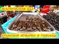 Уличная еда - Жареные Тараканы в Таиланде | Остров Самуи 2020 - Храмовая Ярмарка в Натоне