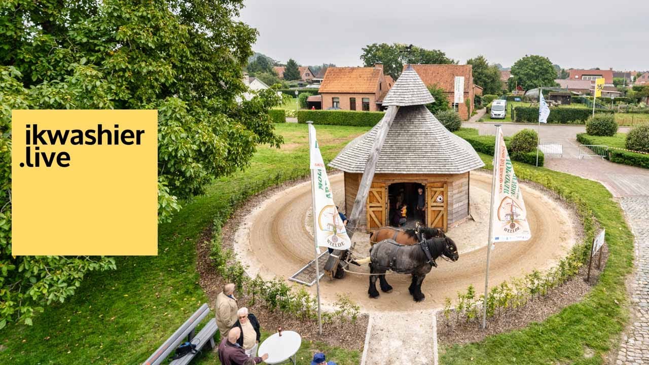 TRAILER 1’ Trekpaarden draaien rondje in Rosmolen Arbeid Adelt Weelde / horse mill / moulin à cheval