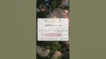 سورة المسد بصوت سعد الغامدي