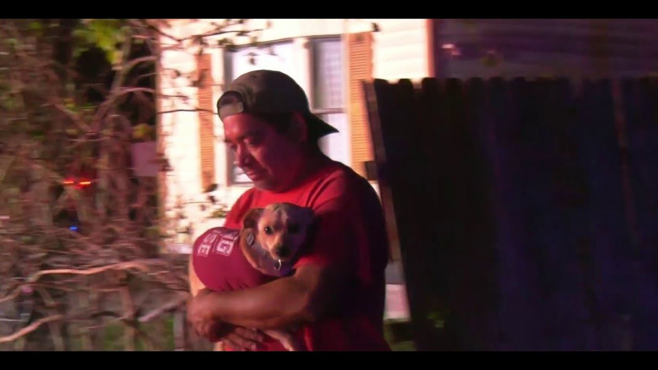 Dog alerts homeowners as house catches fire in north Harris County ...