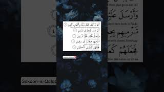 Download Lagu SURAH AL-FIL 🤍 | Egzon Ibrahimi | #shortsfeed #egzonibrahimi #surahalfil #quran #quranrecitation MP3