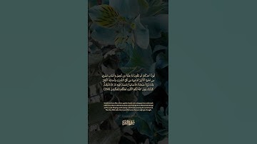 سورة البقرة الآية رقم 266 بصوت مشاري راشد العفاسي مع الترجمة الإنجليزية #القران #لايك #اكسبلور