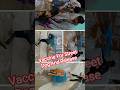 Dog Catching For Vaccine And Release #release #dog #dogwithpublicsafety #pets #ytshorts #rescue
