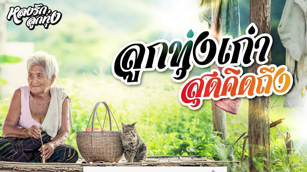 📌ลูกทุ่งเก่า สุดคิดถึง {อยู่กับความผิดหวัง,รอจนกว่าจะรัก}