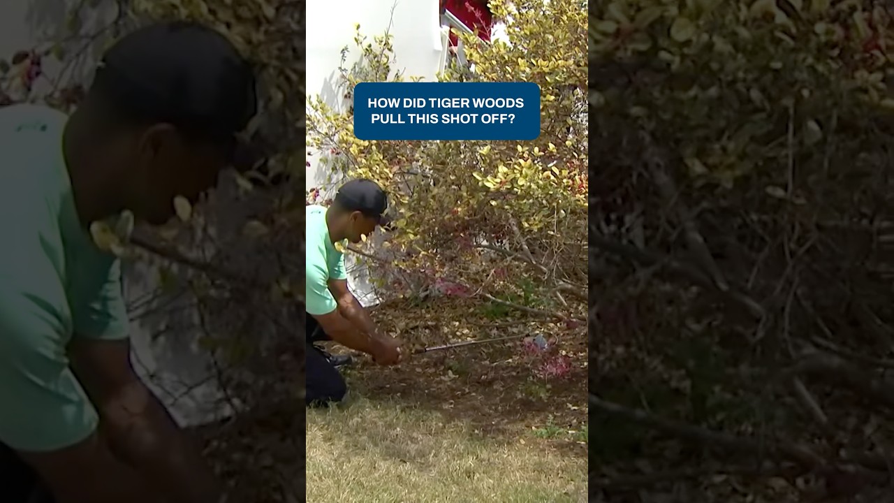 Tiger being Tiger 😱