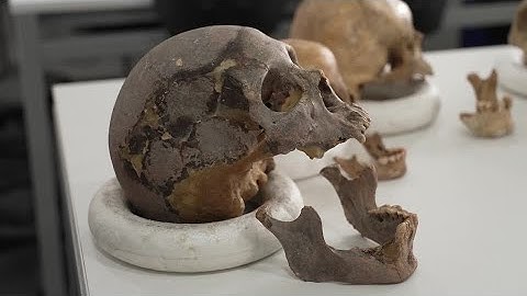 DNA sequencing of ancient remains reveals unknown human lineage | REUTERS