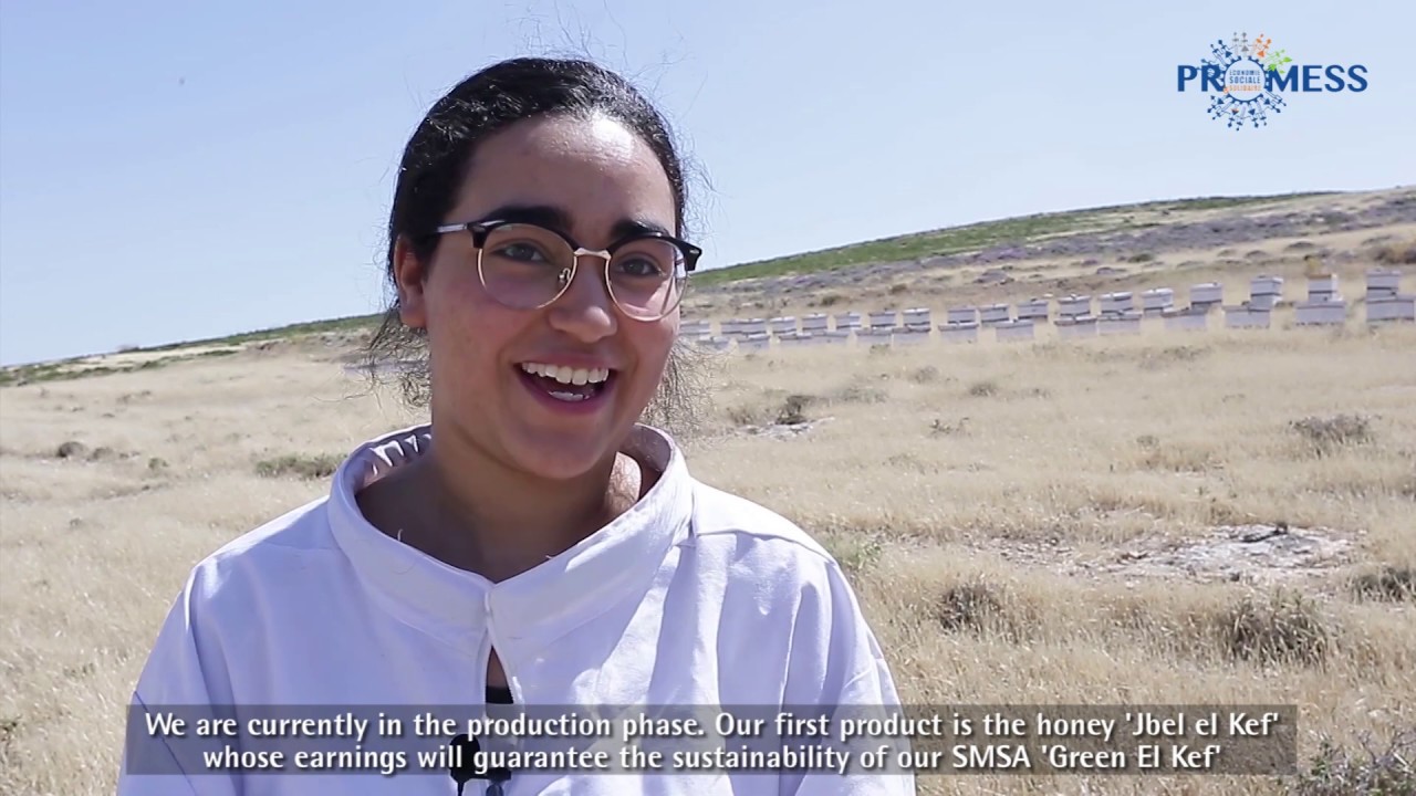 PROMESS: Promotion of Organizations and Mechanisms of Social and Solidarity Economy in Tunisia