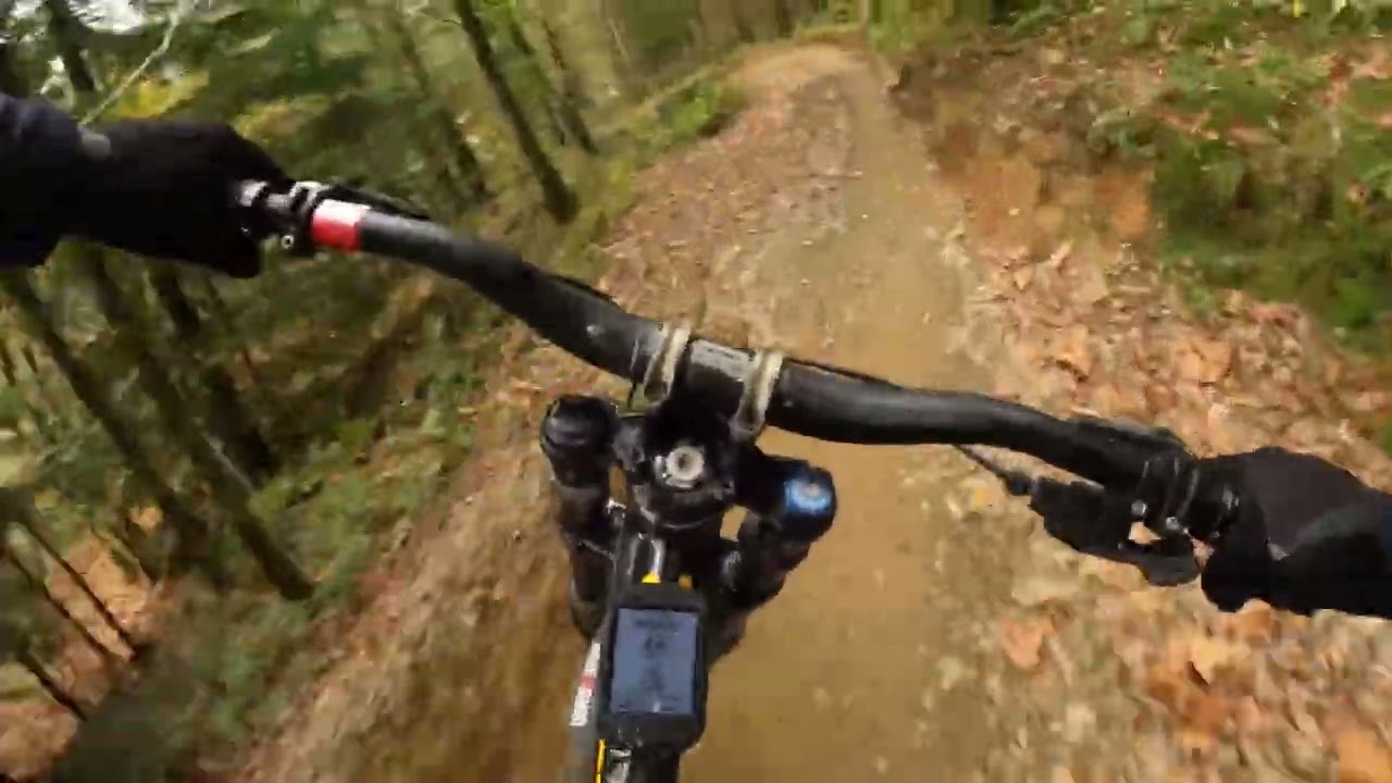 Dyfi… 3rd Degree Berms, Muddy’s Berms & Turns in The Ferns