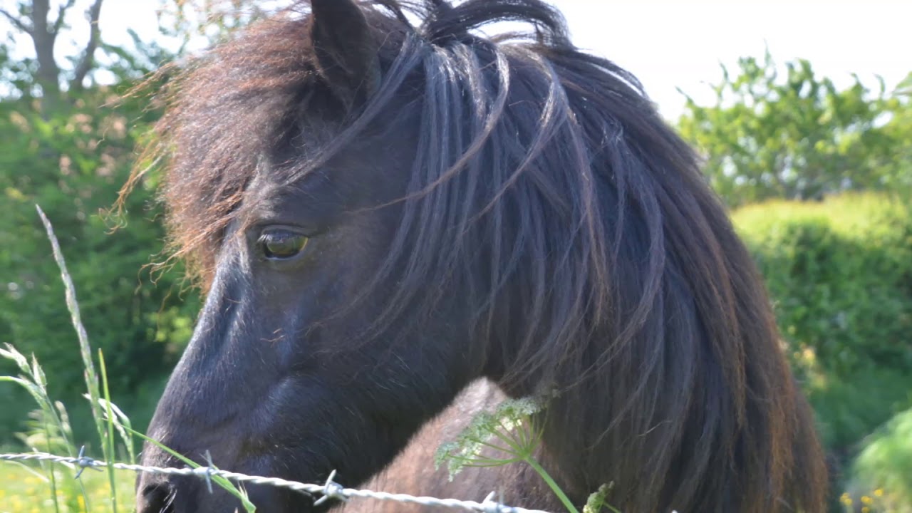 Fotos und Luftaufanhmen Zierikzee und Umgebung Schouwen-Duiveland