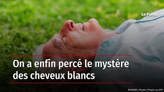 On a enfin percé le mystère des cheveux blancs