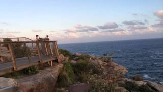 Suicide Cliff  - The Gap  - Sydney Wealth