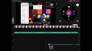 Did anyone else get this error while using Funny voice? I did.