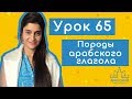 Урок № 65 Породы арабского глагола  فَعَّال