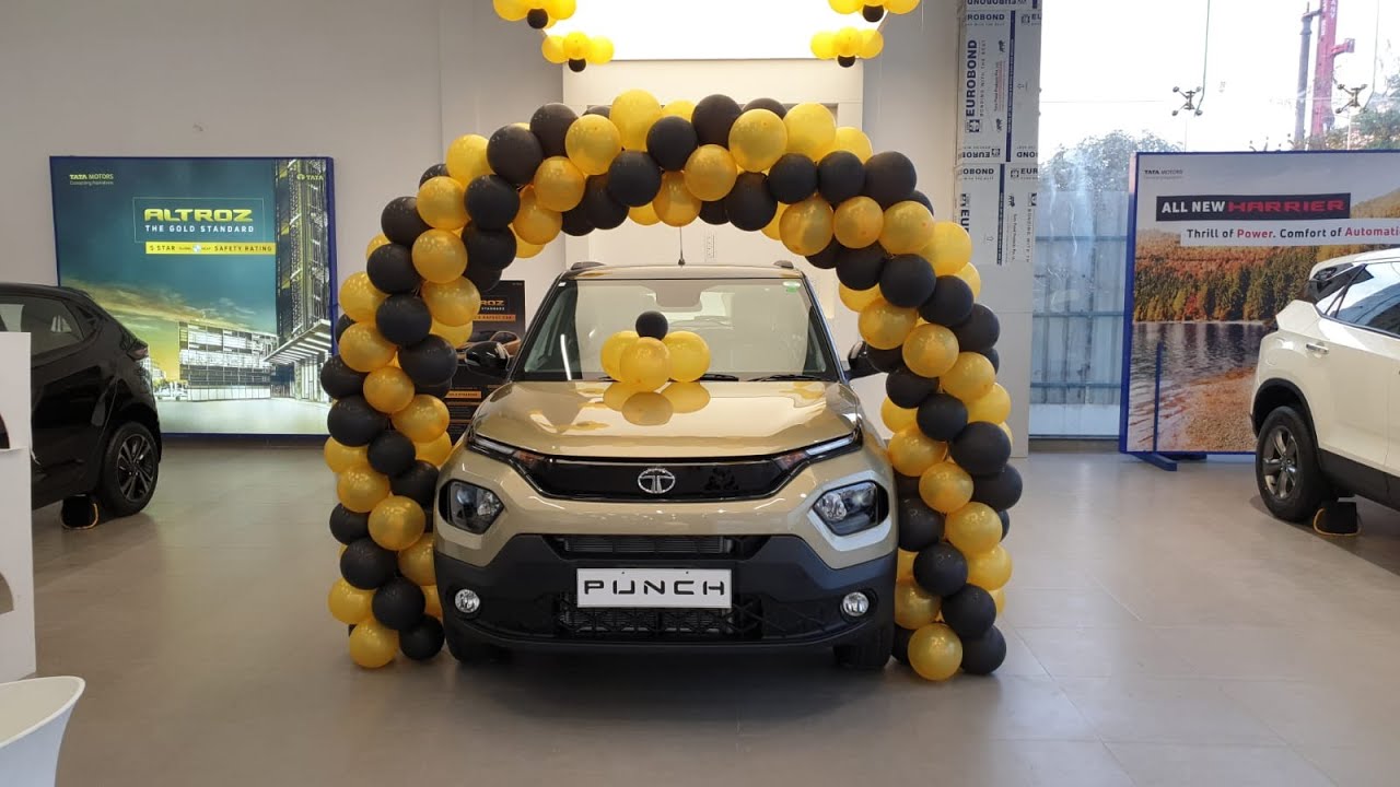 Tata Punch Kaziranga Edition Launched Exterior & Interior in 4K