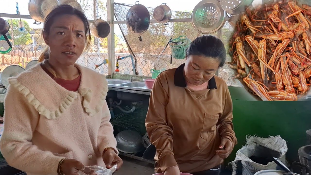 กินแซ่บโพโพดสาวจ่อยขั่วตักแตกกินข้าวตอนบ่าย 8 มีนาคม ค.ศ. 2026