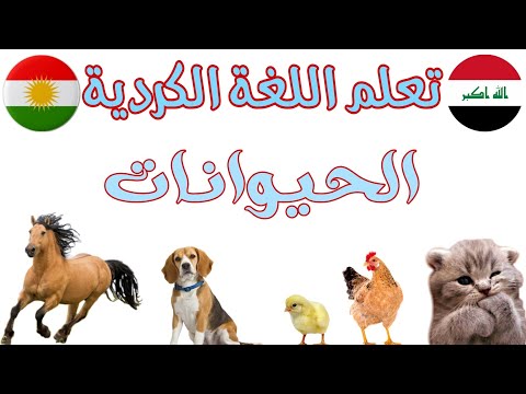تعلم اسماء الحيوانات باللغة الكردية