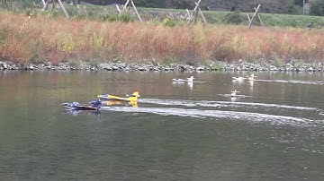 Team Polaris Formation Flight