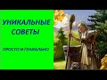 УНИКАЛЬНЫЕ СОВЕТЫ  АНОНС   № 2522