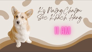 Kỹ Năng Chăm Sóc Khách Hàng July 30-2022 @11am VN