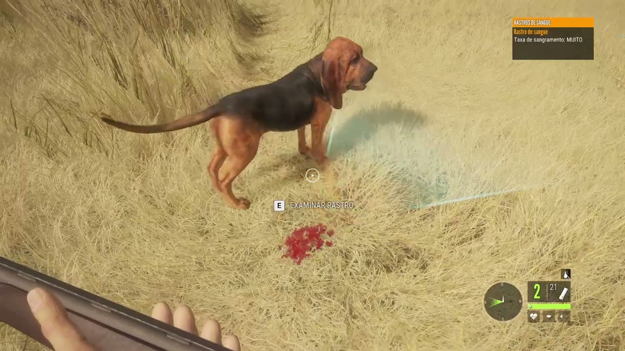 TheHunter Call of the Wild - SAVANA TEM LEÃO - Gameplay PC