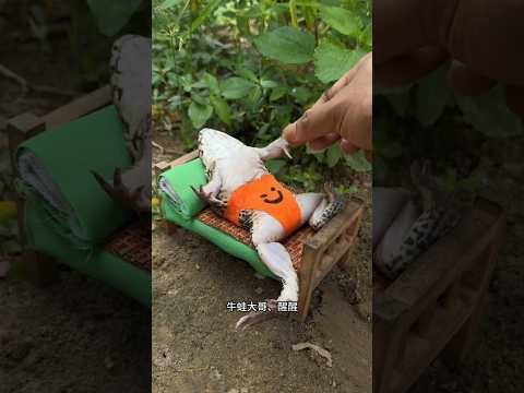 حان وقت ذهاب روكي إلى المدرسة لكنه لا يزال نائم ا 