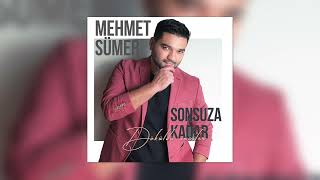 Mehmet Sümer - Menfaat Resimi