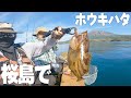 [ミニボート釣り] ホウキハタと真鯛で大満足の日。