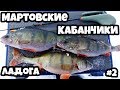 Окунь в марте на Ладоге, часть 2