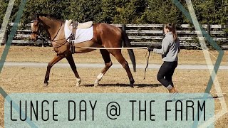 BARN VLOG: Lunge Workouts for Horses at Different Levels // Day in the Life of an Equestrian Eventer
