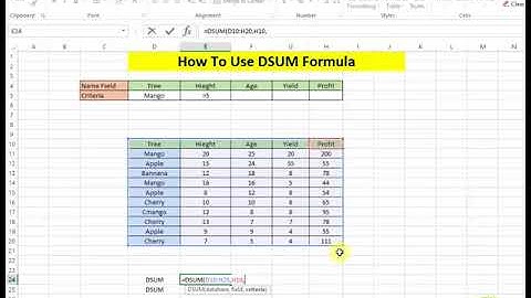 Use DSUM Formula in MS Excel 2013 Tutorial p221 Urdu Hindi