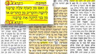 דף יומי- זבחים סה 65 ראשון ד׳ תמוז לרפואת טל בת דניס דניסא דינה