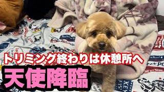 最後はベットで休憩！？
