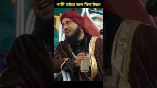 Maulana Qari Nazrul Islam