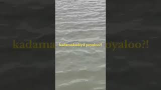 A Memorable Daykadamakkudy visiting funtime support fun friends happines life