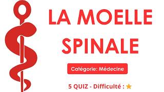 La moelle spinale - Catégorie: Médecine - 5 QUIZ - Difficulté : ⭐
