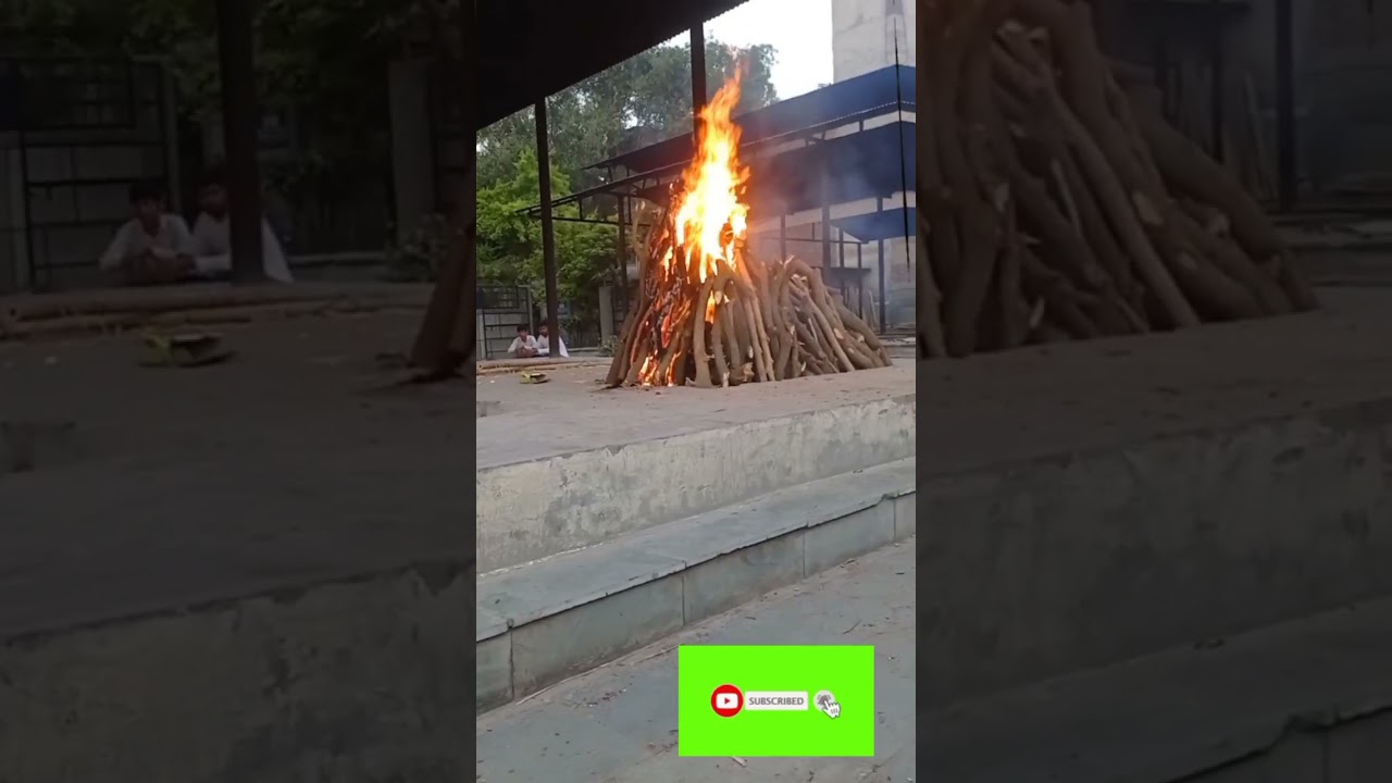 Jite bhi lakri Marte bhi lakri 