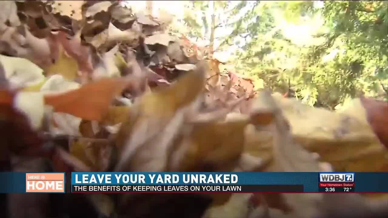 Experts Say You Should Leave Your Lawn Unraked This Fall