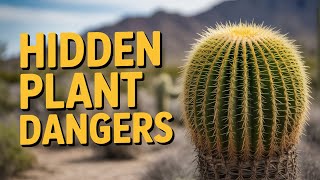 Are You Unknowingly Growing DEADLY Plants in Your Yard?