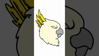 Quick bird color test no.2 | illustration & drawing