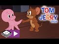 The Tom and Jerry Show | Baby Octopus On The Loose | Boomerang UK