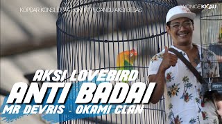 ANTI BADAI BUKAN ANTI KONDANGAN  II  KOPDAR KONSLET  II MR DEVRIS - OKAMI CLAN
