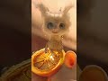 Dust Bunnies ep1
